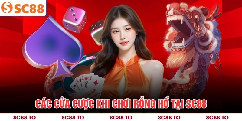 Các cửa cược khi chơi Rồng Hổ tại SC88